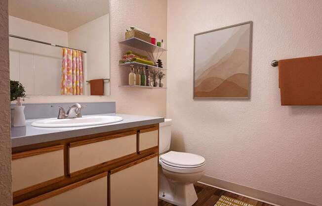 A bathroom with a toilet, sink, and shelves.