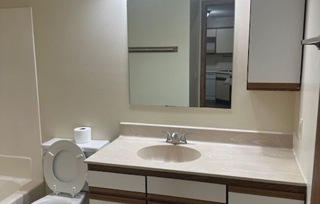 1 bed, 1 bath, 700 sqft, $1,220, Unit 401-213