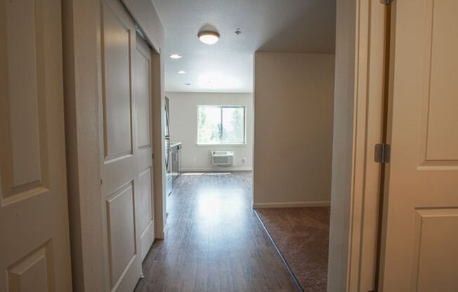 Studio, 1 bath, $1,375, Unit 12