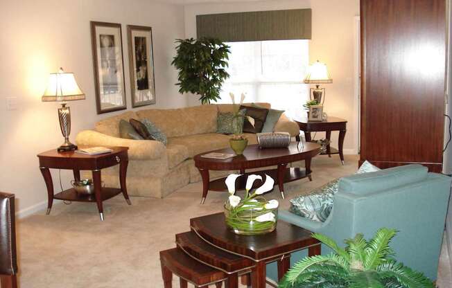 A living room with a couch, chairs, and a potted plant.