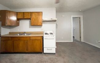 1 bed, 1 bath, 450 sqft, $595, Unit Apt. 5