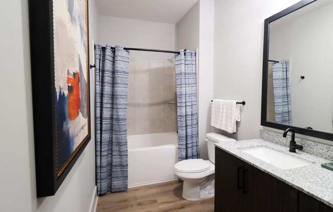 The Crest at South Point B3 Model Apartment Main Bathroom located in McDonough, GA