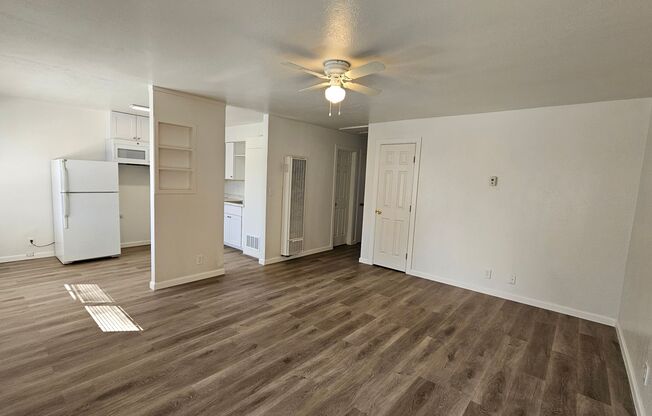 NSUR1257 3009  Rose 9-15