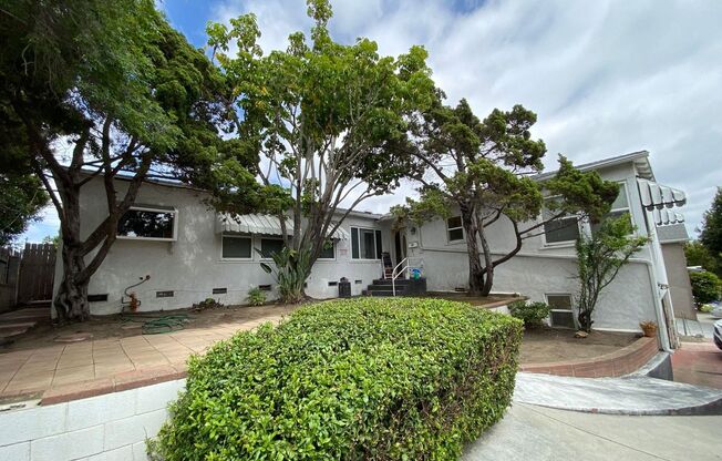 Large House!! Quick walk to campus!!