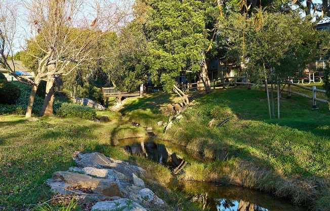 Lush green spaces at Creekwood Villas along with creek
