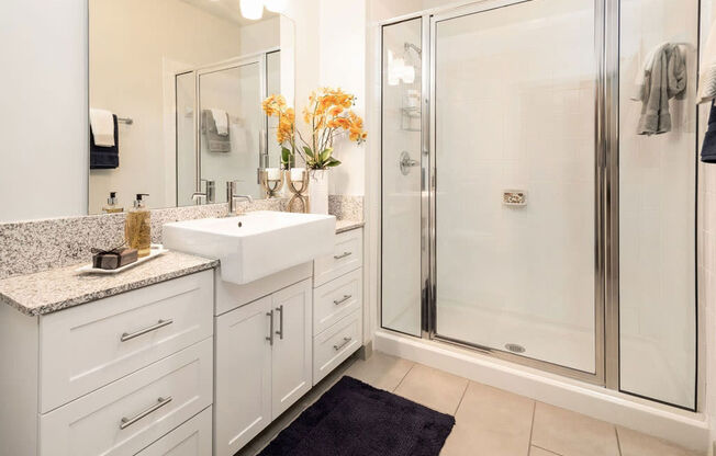 a bathroom with a sink and a shower