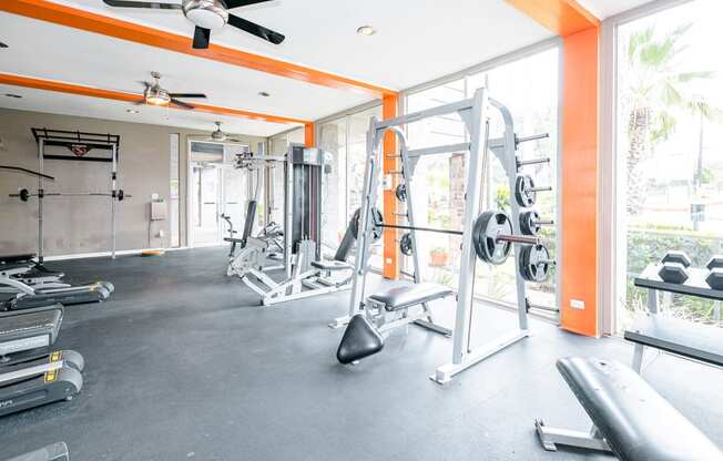 a gym with a lot of exercise equipment and a large window
