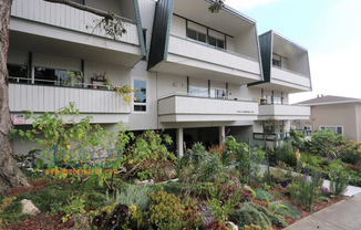 Contemporary North Berkeley Mid-Century 1 Bedroom Condominium