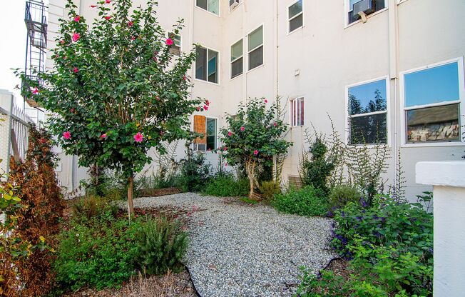 Studio, 1 bath, 214 sqft, $1,325, Unit 302