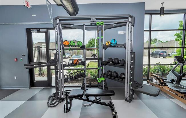 Weighted balls and kettlebell weights lines on gym shelves in front of a large glass window