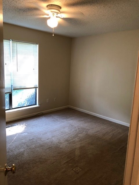 3 beds, 1 bath, $995