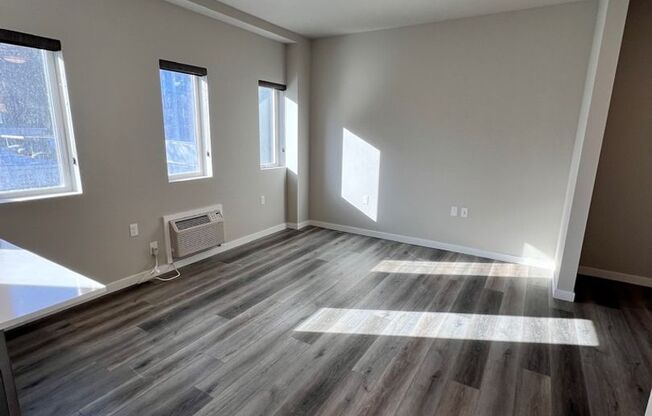 Studio, 1 bath, 552 sqft, $1,600, Unit 7-H