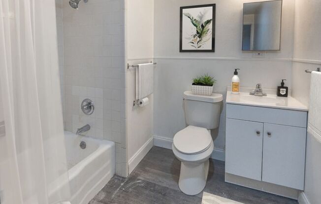 Studio, 1 bath, $590, Unit 218