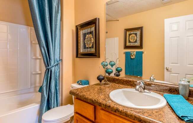 a bathroom with a sink and a toilet and a shower