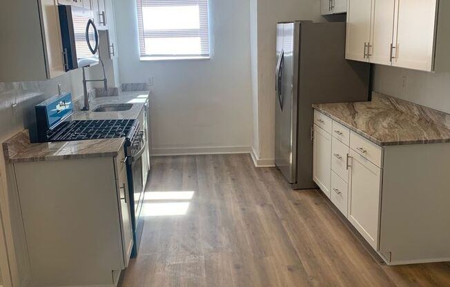 Luxury 2 Bedroom/1 Bathroom Remodel in South Side Flats