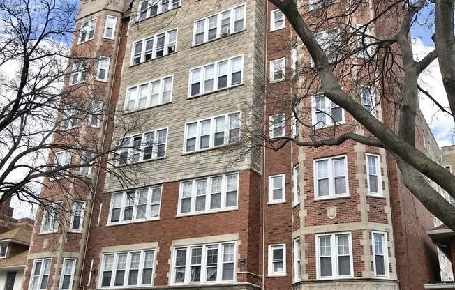 Studio, 1 bath, 375 sqft, $1,450, Unit 101