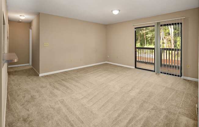 Living Rooms with Patio Access