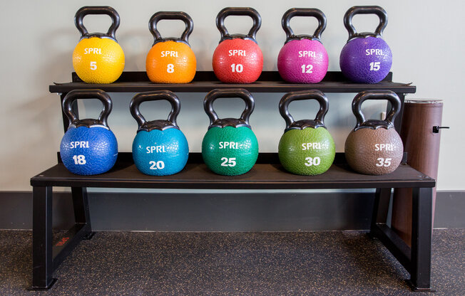 A row of colorful dumbbells in the gym