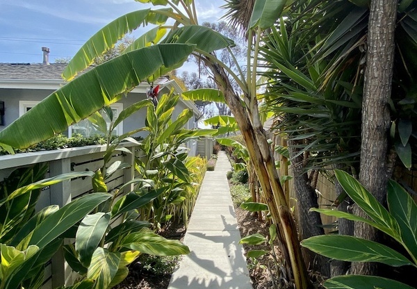 2249 GARNET AVE