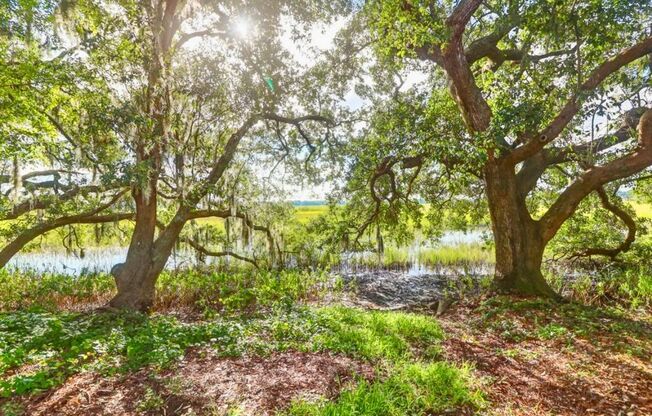 3 beds, 2 baths, 1,394 sqft, $2,850, Unit Daniel Ellis