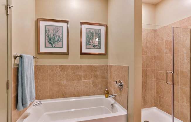 Interiors Spacious Bathrooms at LangTree Lake Norman Apartments, Mooresville, 28117