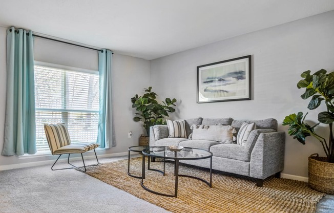 Reserve at Providence Charlotte NC photo of living room with large window