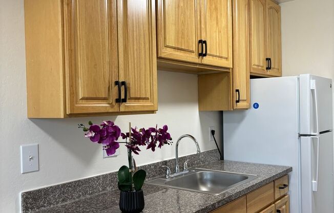 1444 Snooty Fox Apartments