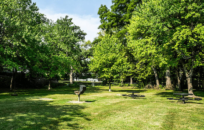 a grassy area with trees and a picnic table