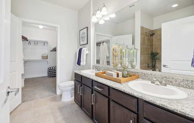 a bathroom with a sink and a toilet and a mirror