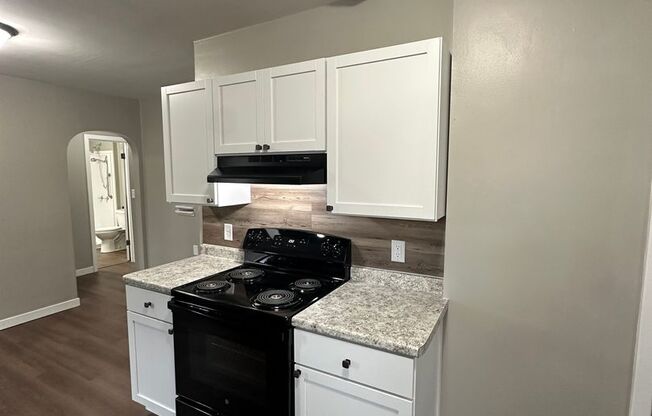 Remodeled 3 bed, 1 bath home for rent in Waterloo