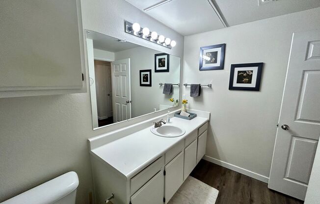 1 bed, 1 bath, 720 sqft, $1,895, Unit 16108