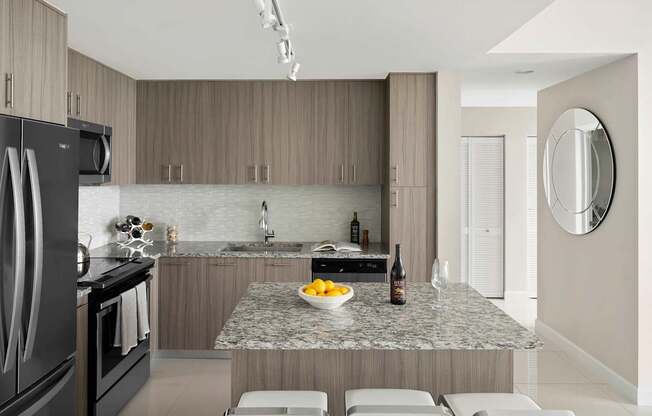 A modern kitchen with a granite countertop and stainless steel appliances. at Palma, Doral, FL, 33166