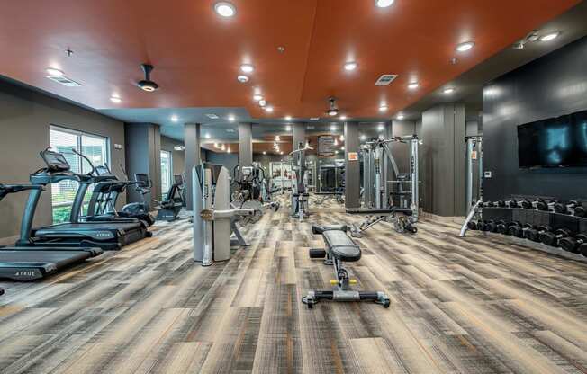 a gym with weights and cardio equipment and a tv