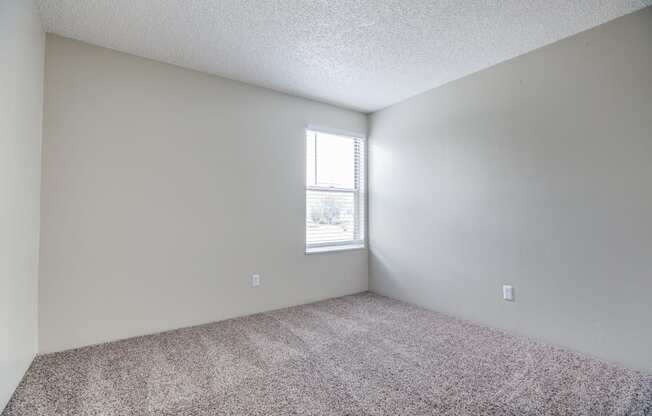 an empty room with carpet and a window