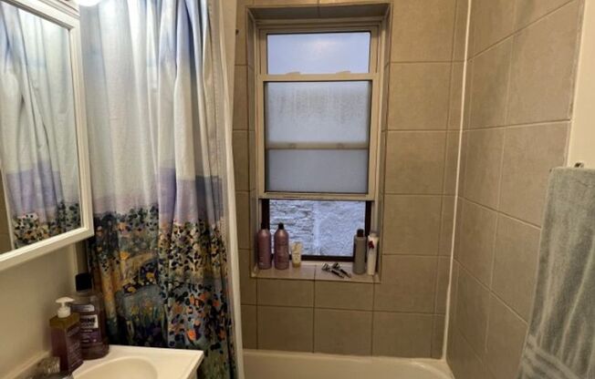 Studio, 1 bath, 275 sqft, $1,100, Unit 103