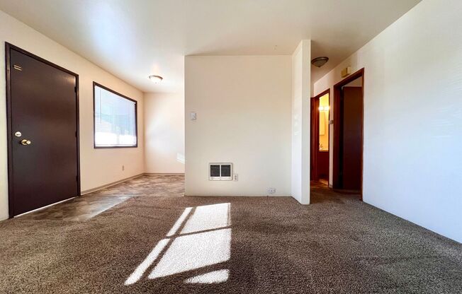 1 bed, 1 bath, 600 sqft, $925, Unit O-1