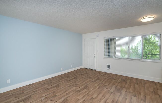 1 bed, 1 bath, 420 sqft, $1,315, Unit 12