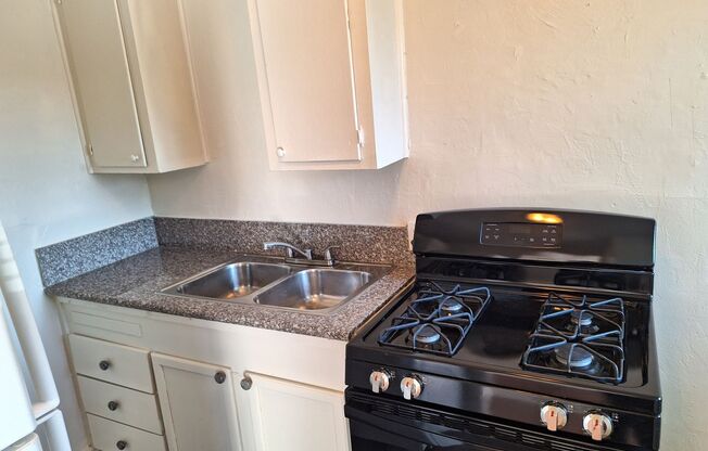 1 bed, 1 bath, 500 sqft, $1,195, Unit UNIT 04