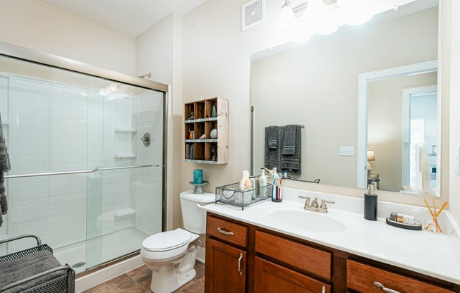 a bathroom with a shower toilet and sink and a mirror