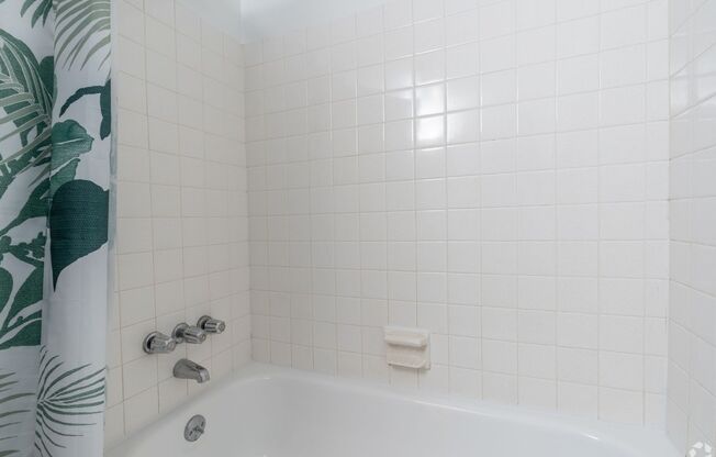 Studio, 1 bath, 310 sqft, $1,019, Unit 207B