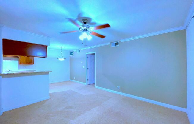 First floor 1-Bedroom 1-Bathroom Condo!