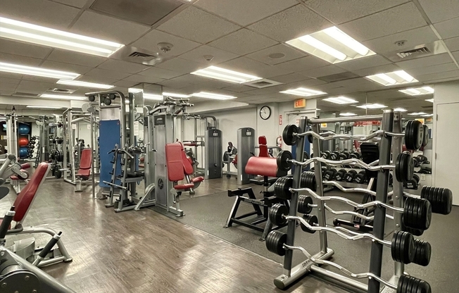 1 bed, 1 bath, 780 sqft, $3,200, Unit 714