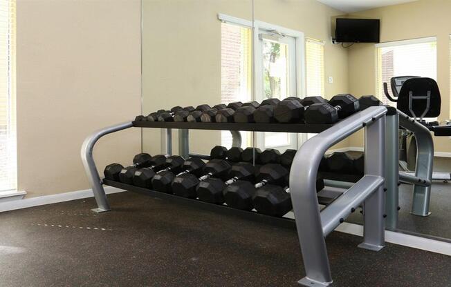 Free weights in fitness center