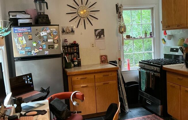 1 Bedroom/1 bathroom Basement Apartment in Forest Heights