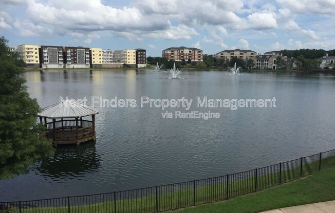 1 bed, 1 bath, 920 sqft, $1,350, Unit 1125