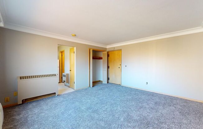 Studio, 1 bath, 500 sqft, $750, Unit 207