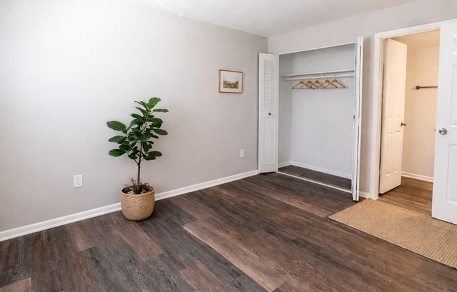A room with a plant in a pot and a wooden floor.