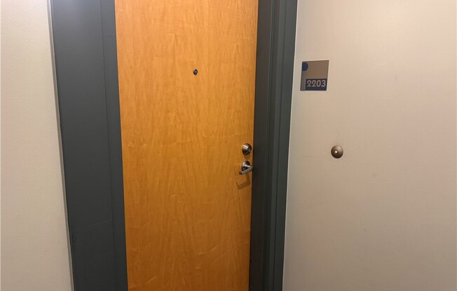 2 beds, 2 baths, 1,320 sqft, $4,100, Unit 2203