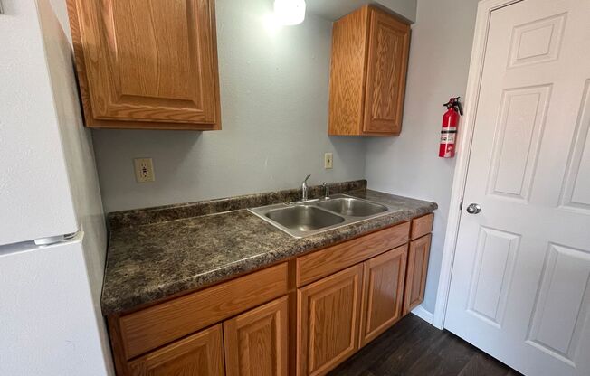 1 bed, 1 bath, 450 sqft, $425