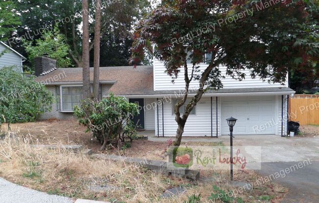 Super-Cute & Remodeled 1-Bedroom MIL Apartment in Great Kirkland Neighborhood FOR RENT!!